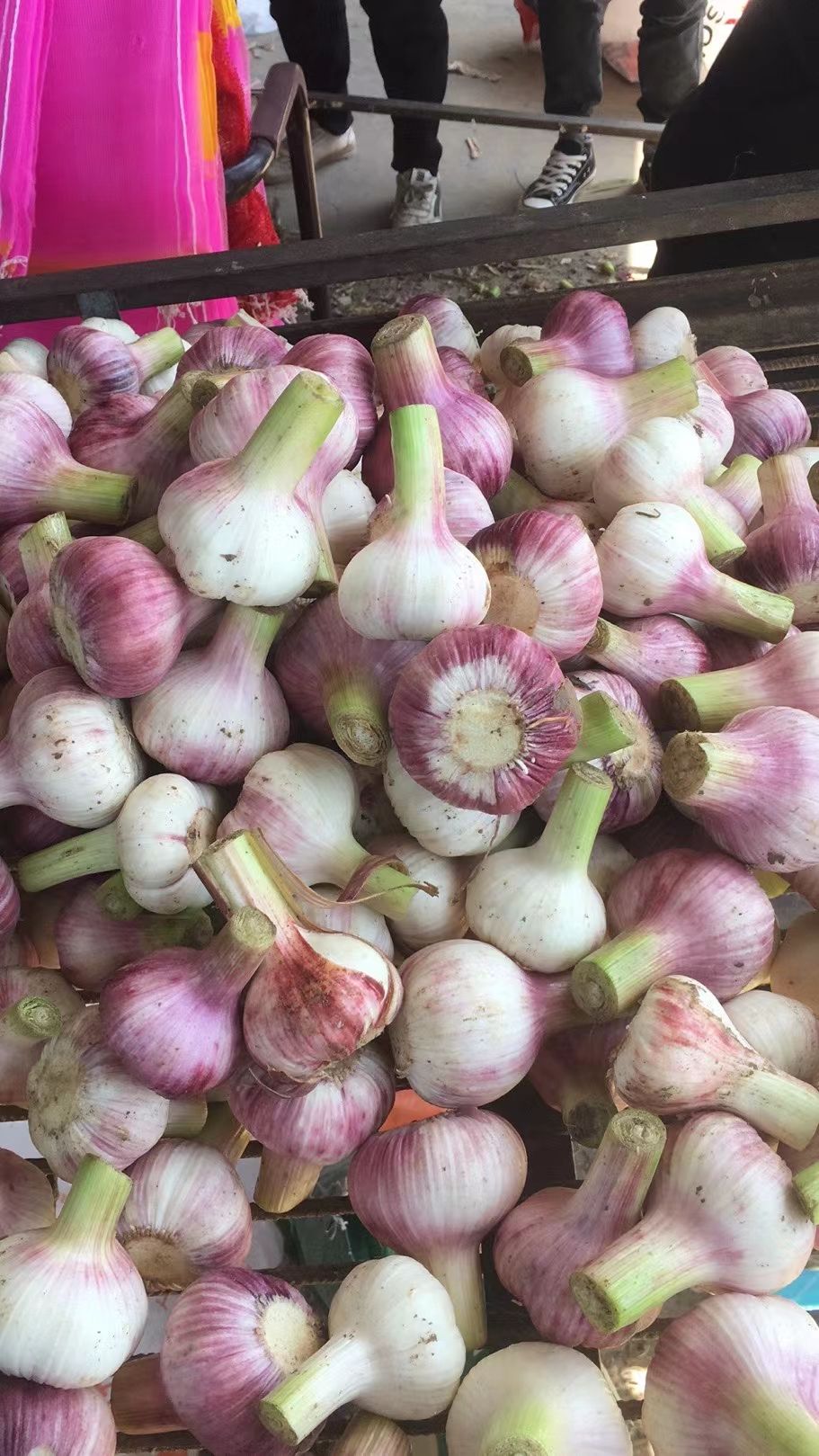 白皮蒜  扒皮蒜，精品扒皮蒜，产地直供，货源充足