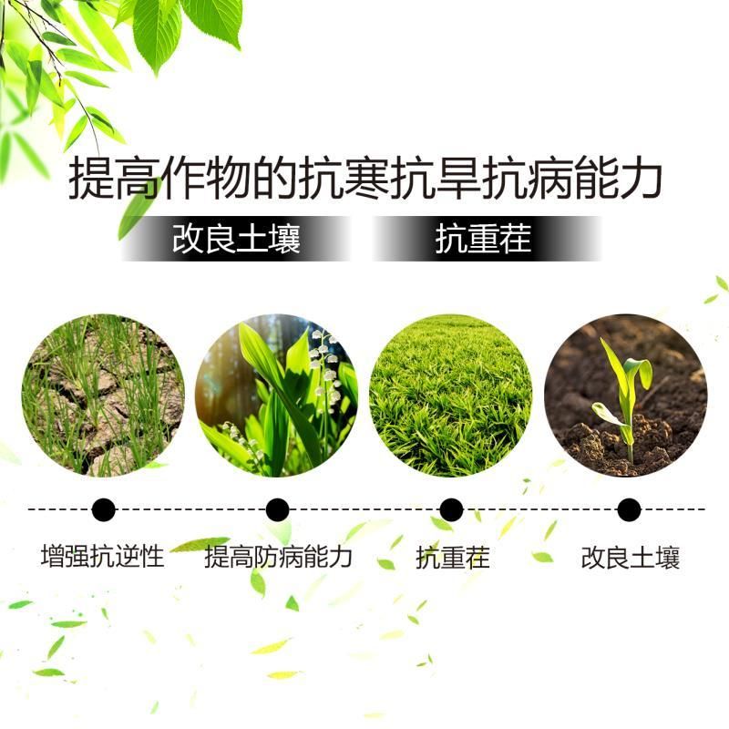 菌肥  久久劲  强力生根  抑菌防病 基地直供
