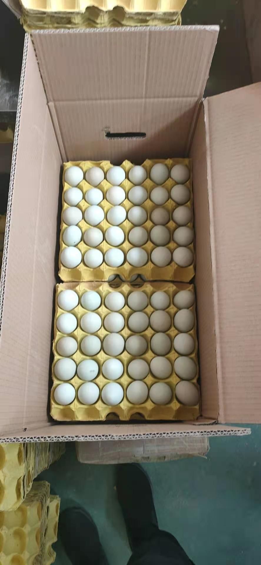 武汉土鸡蛋  420枚/箱精品特大号绿壳蛋，带箱50+斤