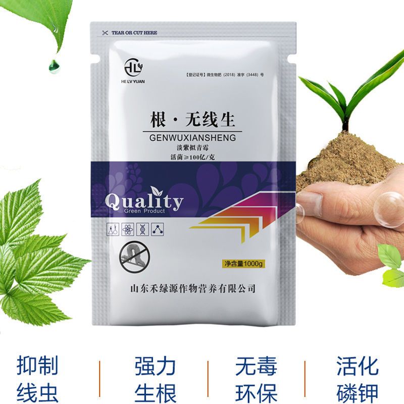 禾绿源淡紫拟青霉菌剂100亿根结线虫大姜癞皮病淡紫紫孢菌