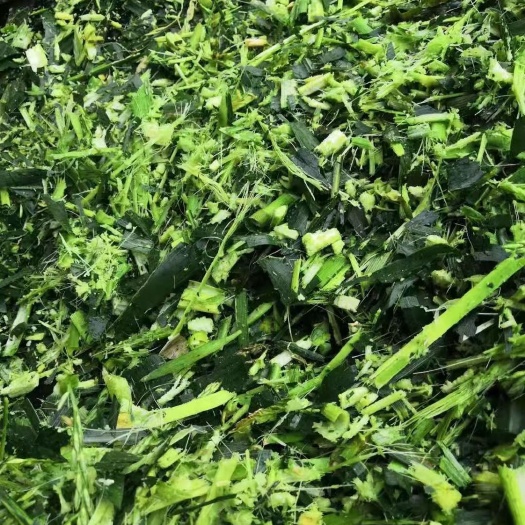 武汉玉米秸秆。玉米芯。小麦秸秆青贮饲料大量出售。