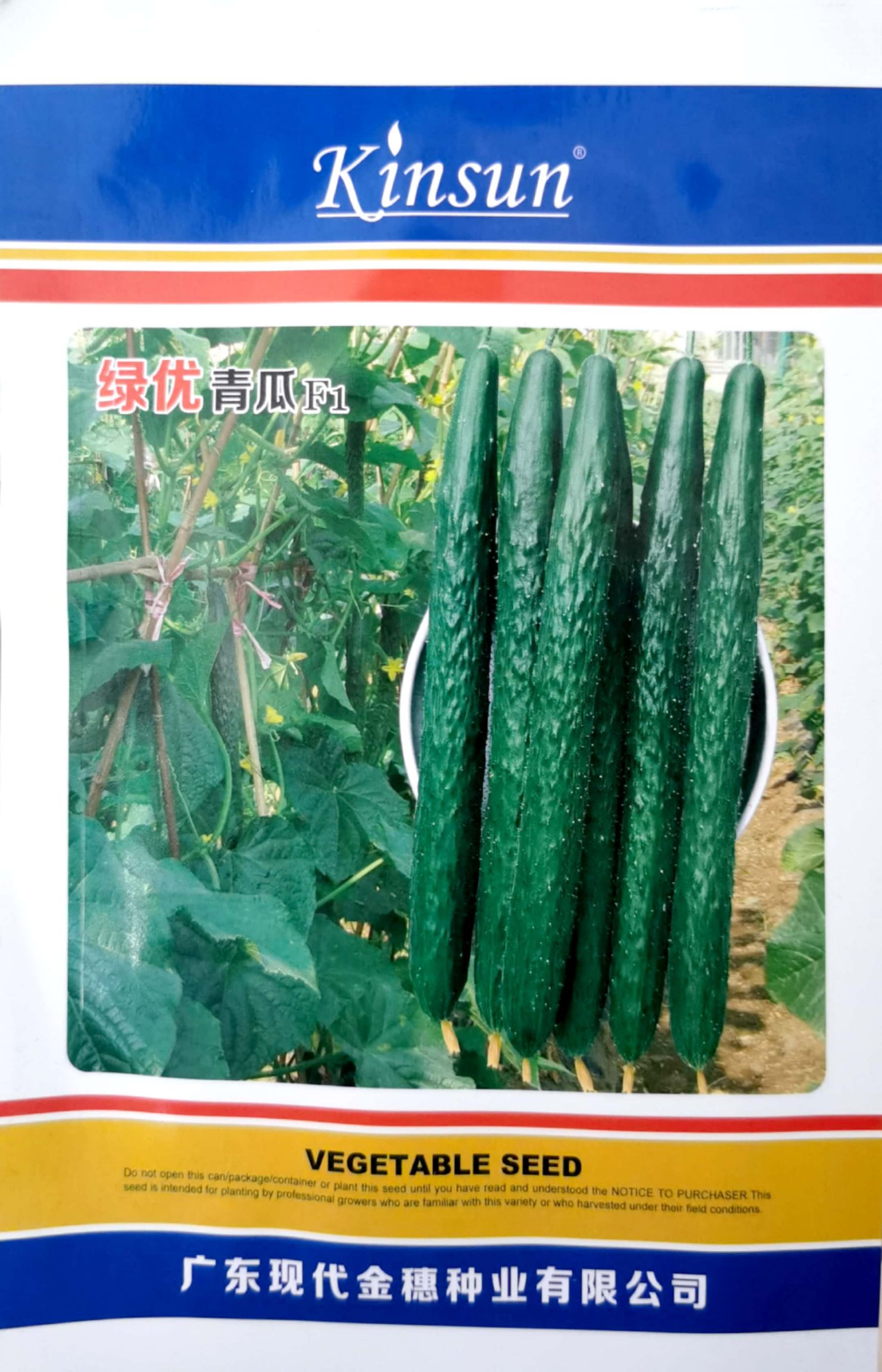 水果黄瓜种子  绿优黄瓜种子，口感脆嫩，瓜把短，耐高温长势强，产量高