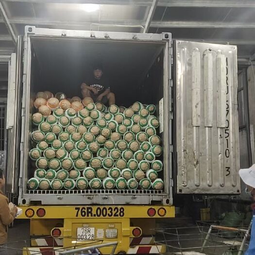 芜湖 正宗越南红肉菠萝蜜