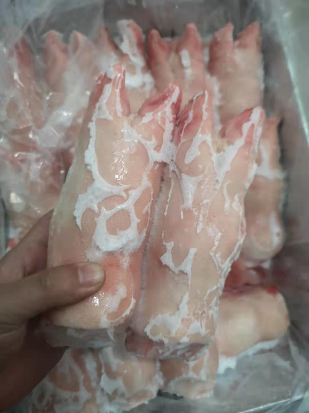 猪蹄 猪手17-19自己工厂的货量大从优