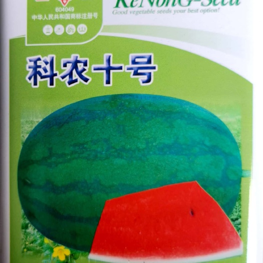 科农十号西瓜种子，高产，味甜爽口，瓤红汁多，品质好