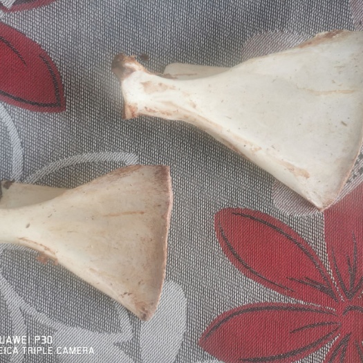 献县宠物饲料  干羊板骨，熟羊扇骨，狗粮专用