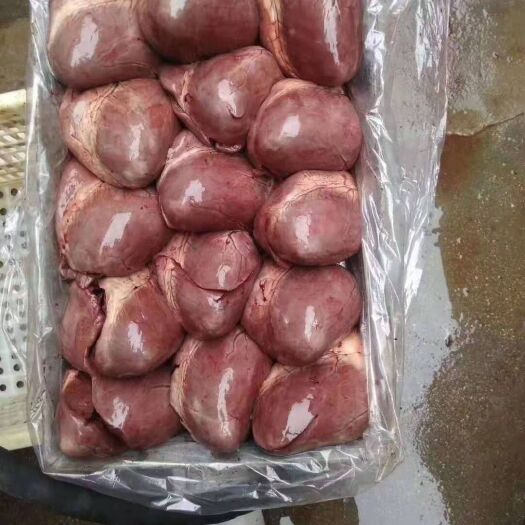 郑州猪心(母猪冷冻猪心)