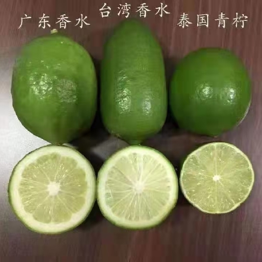 灵山县广东香水柠檬苗   无籽柠檬苗，香水柠檬苗