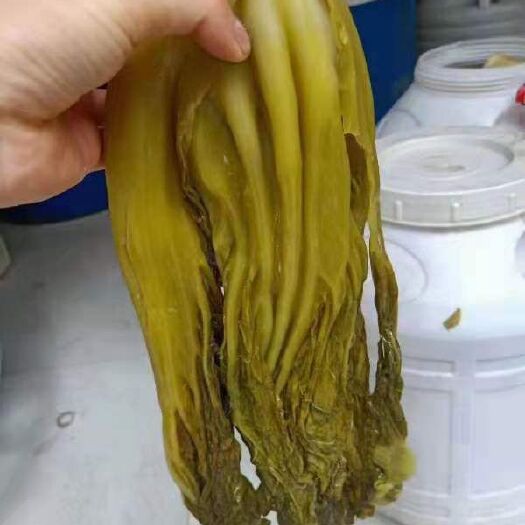贵阳酸芋头梗  酸菜 精品 桶装 袋装  全国发货