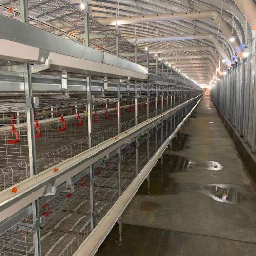 西平县养殖设备  华顺牧业生产蛋鸡笼肉鸡笼自动化设备配备自动喂料机清粪机捡蛋机
