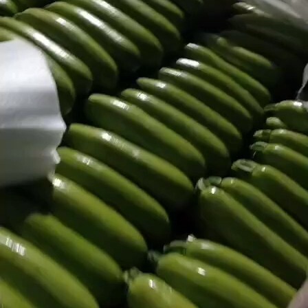 聊城绿皮西葫芦  我处长期大量供应各种瓜果蔬菜！！！