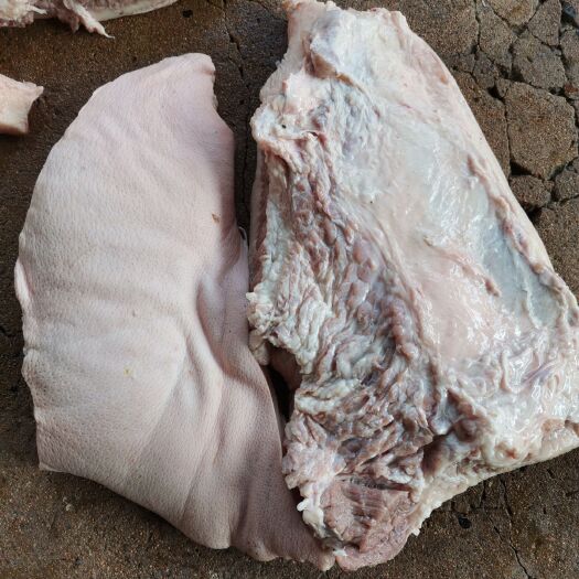 肥东县猪肥膘 出售新鲜槽头肉