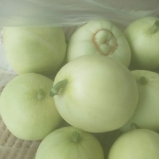 龙州县甜王西瓜 珍珠香瓜大量开盘