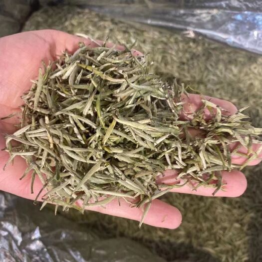 济南玉兰花茶  兰妃茶，高中低都有货