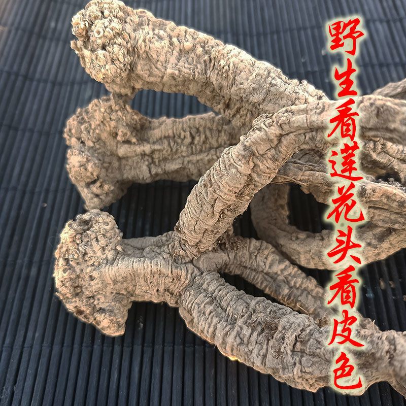  几十年老党参藏区几十年老参