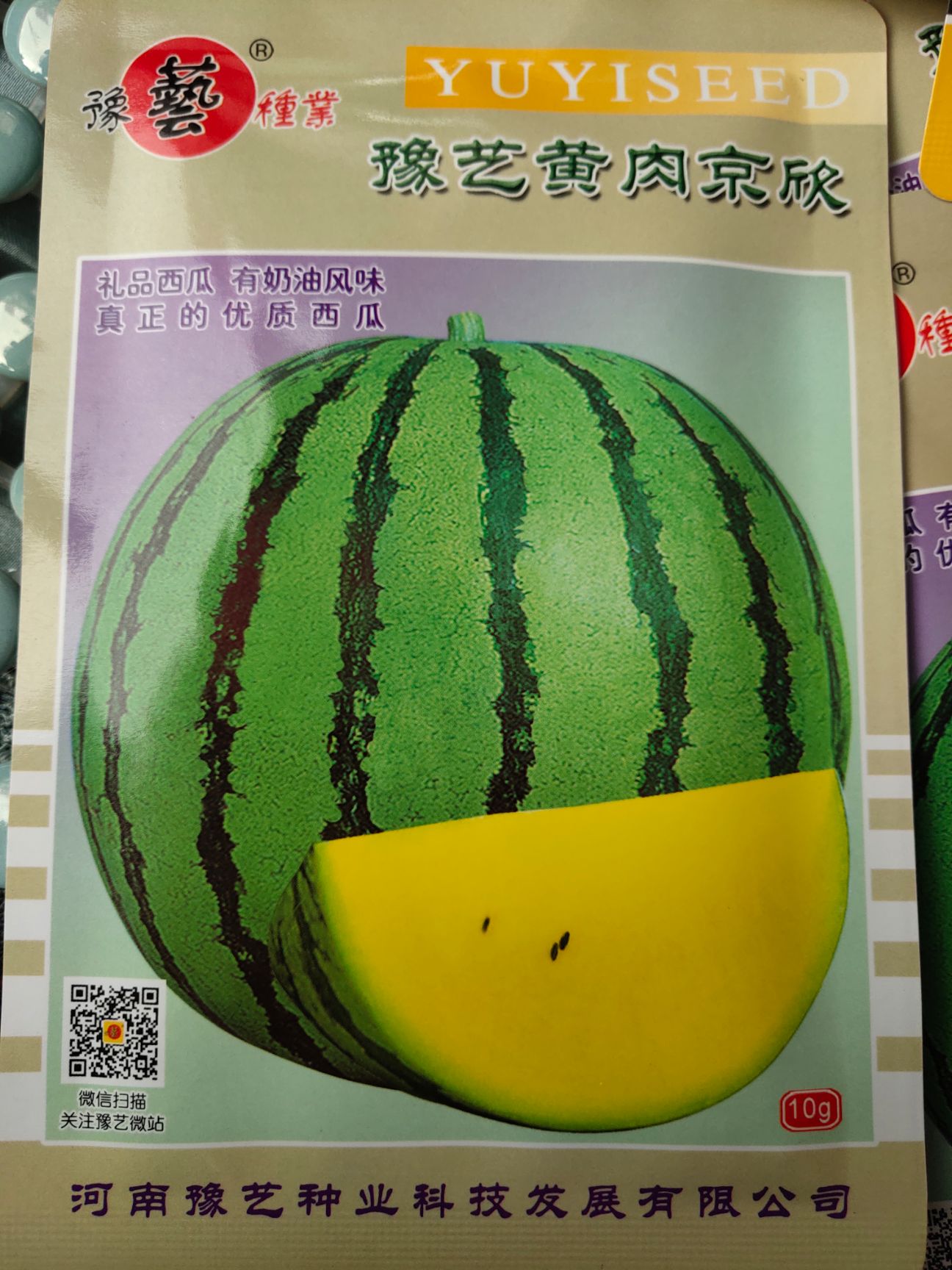 新拳王西瓜种子~中早熟抗重茬抗炭疽病能力强果肉大红13度