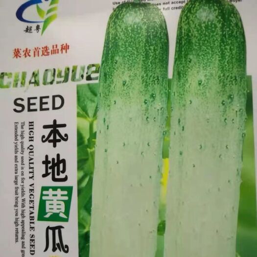 怀化本地黄瓜种子 老品种改良旱黄瓜种籽 四川春秋季农家田园蔬菜种