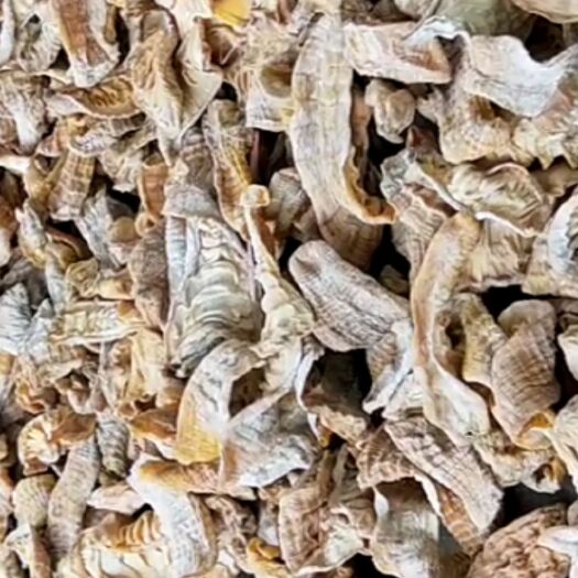 筠连县笋干，嫩度干度都很好的，欢迎采购
