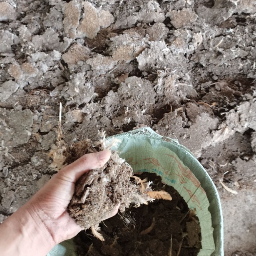 阳西县优质农家肥 稻壳鸡粪 干鸡粪 蔬菜水果苗木有机肥