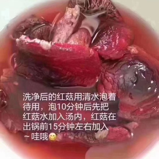 福州野生红菇，野生菌菇大标菇，中菇蕾。
