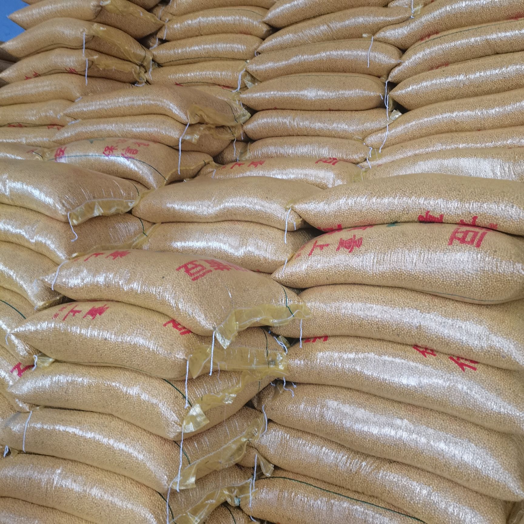 做豆腐 豆制品专用高蛋白大豆 安徽豆东北豆苏北豆国产大豆