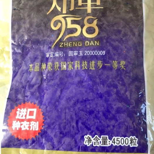 潍坊郑单958玉米种子 常规种 ≥90% 