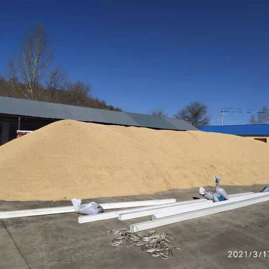 扎兰屯市粳稻谷 呼伦贝尔农垦集团扎兰屯出售85吨鸭稻（有机水稻）