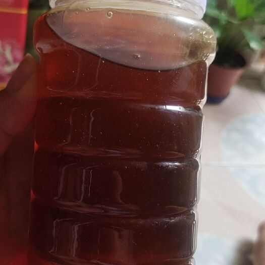 浦北县荔枝蜜 新鲜纯蜂蜜