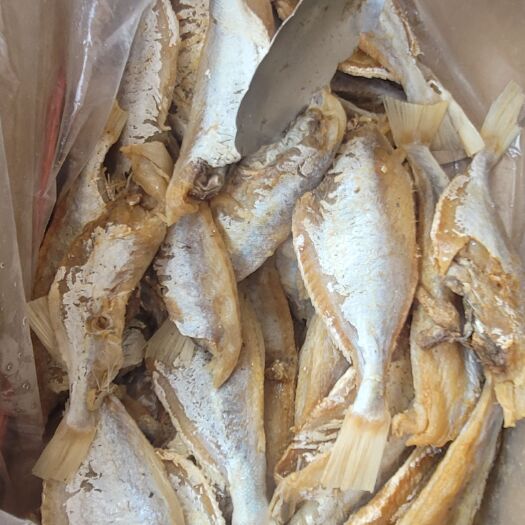 江华县咸鱼 2-3个月 