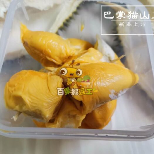 南宁榴莲 25号空运到西安金枕头 9kg 530包邮