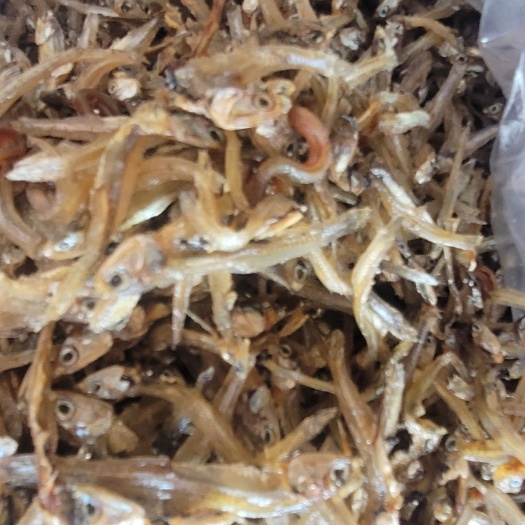 江华县公鱼干 2-3个月 