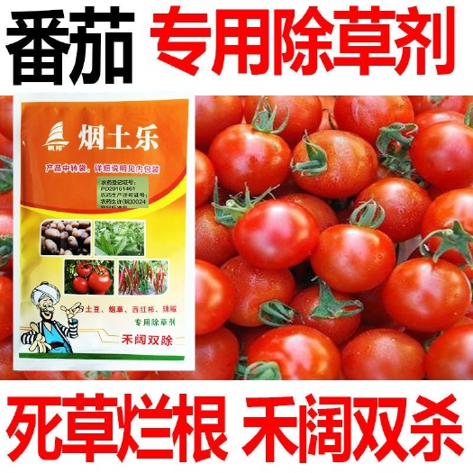 天门市精喹禾灵  番茄除草剂番茄专用除草剂西红柿苗后除草剂专用药
