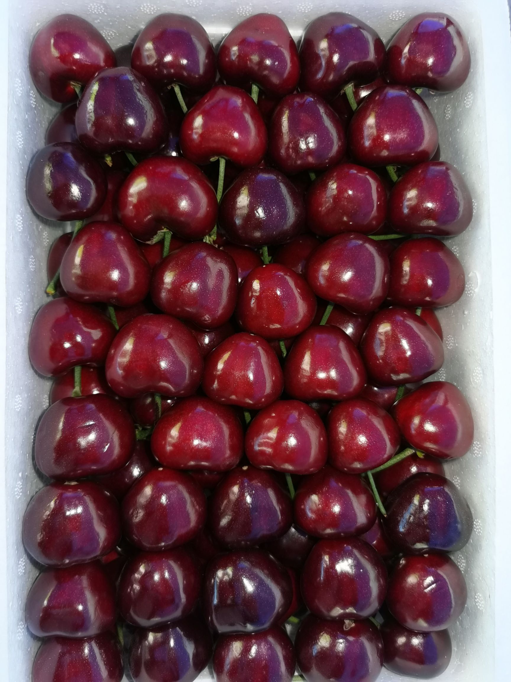 美早樱桃  美早大樱桃价格便宜一件代发。