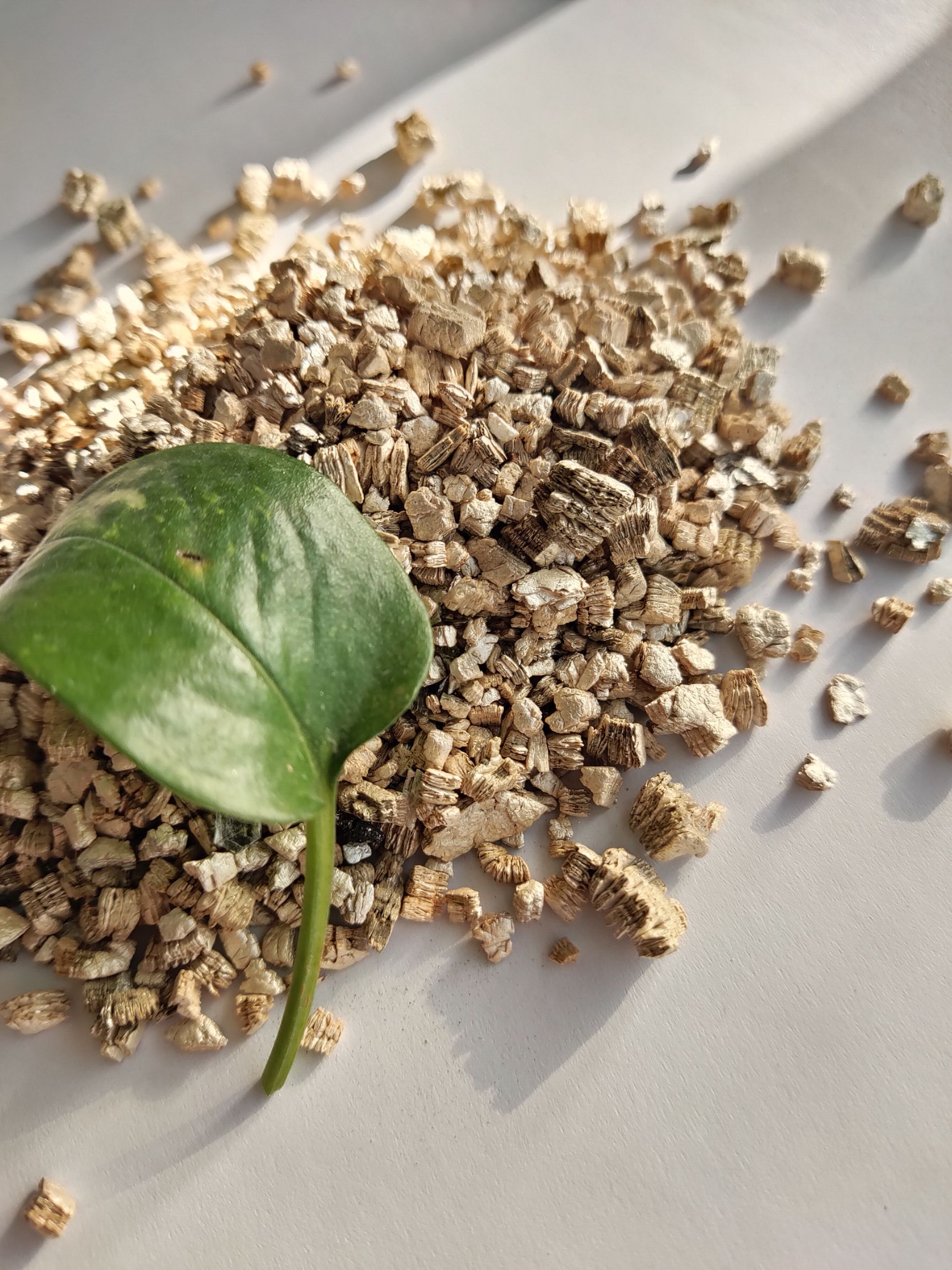 银白中粒膨胀蛭石3-6mm，园艺种植龟蛋孵化蛭石