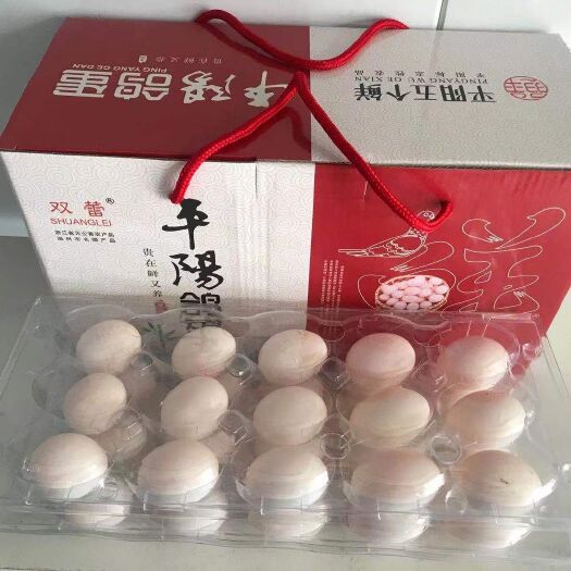 平阳县鸽子蛋 鸽蛋