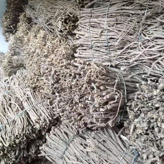 漳县白皮芪  黄芪(毛芪)    免费 免费寄样