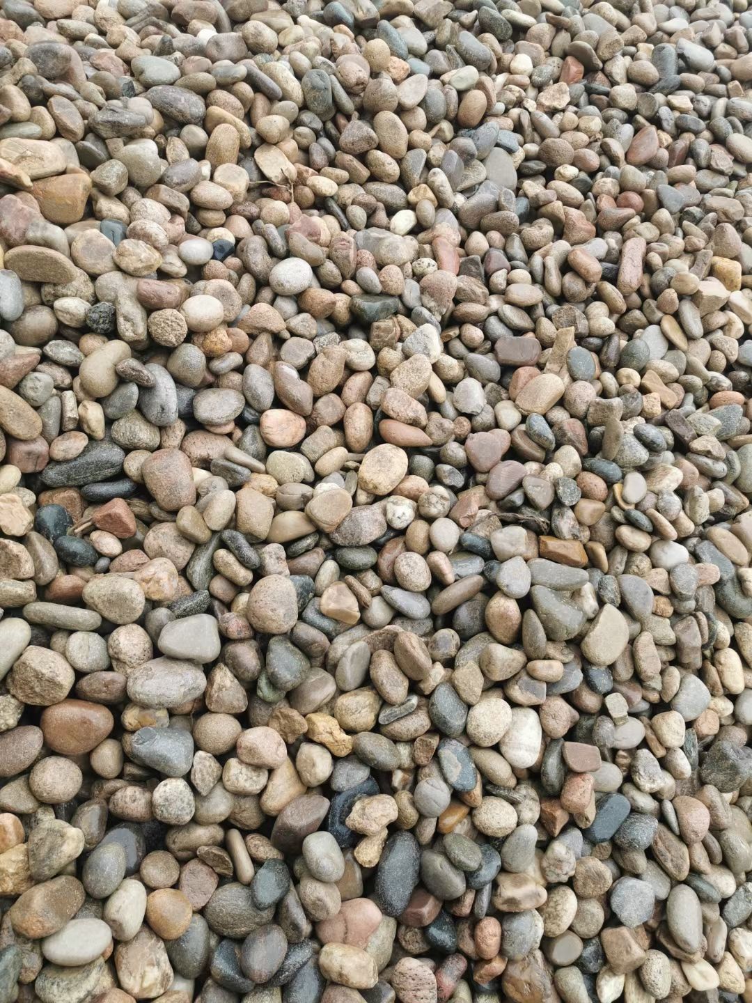 曲阳县批发天然鹅卵石大量石料河卵石大石头原石公园石装饰铺路园林毛石