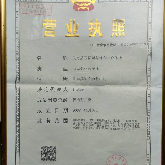 石家庄野蜂蜜  （精选）河北石家庄养蜂合作社直销成熟蜂蜜 全国发货 质量保正
