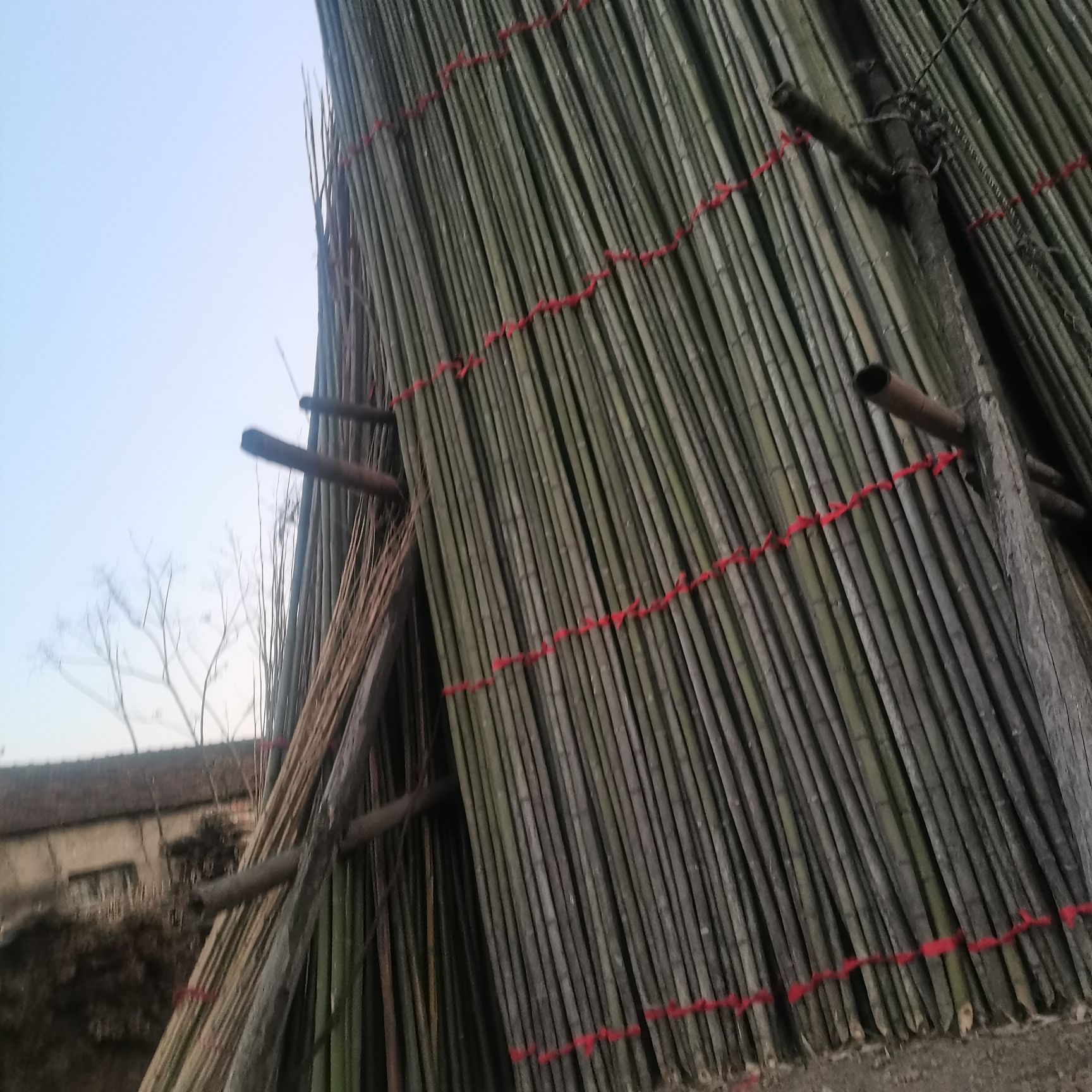 小竹竿绿化支撑果树支撑竹杆农用长竹竿毛竹价格哪里便宜