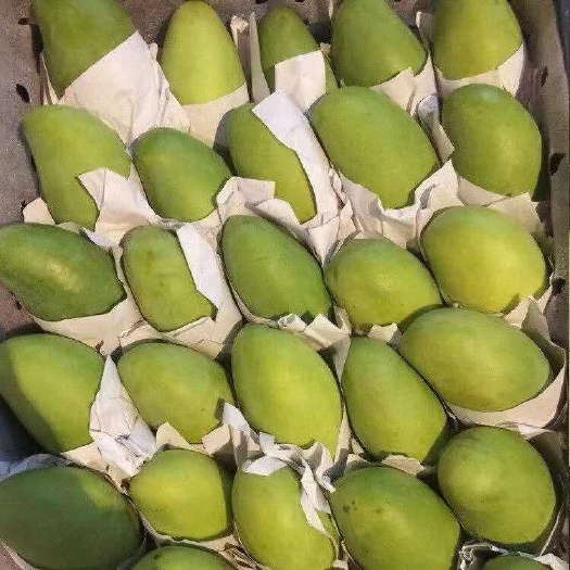 昆明 产地直供 新鲜玉芒 味好果大 量大从优