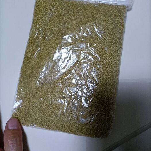 翁牛特旗大黄米 先优大金苗，米黄，口感好。出米率高。