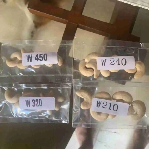 南阳 印尼大腰果