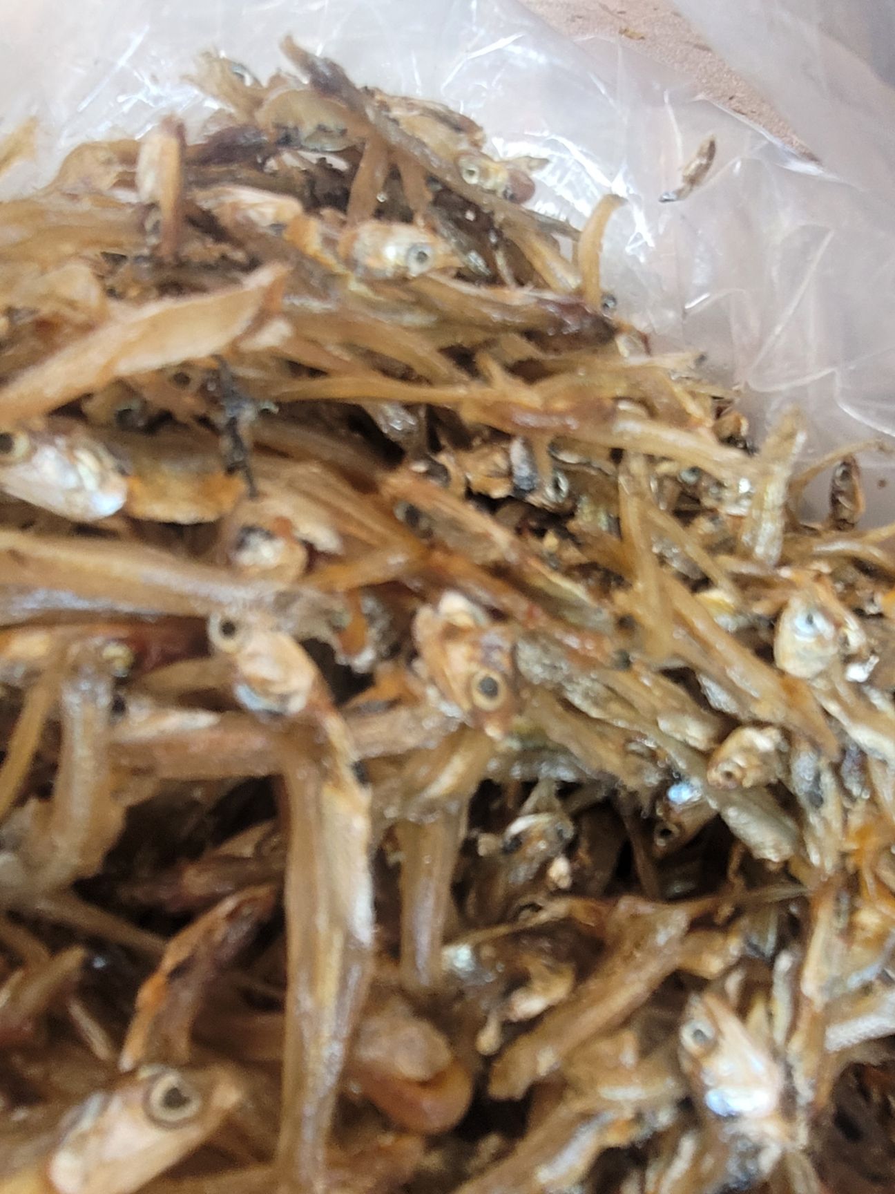 公鱼干 2-3个月 