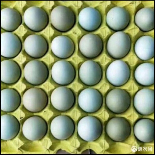 赞皇县绿壳蛋