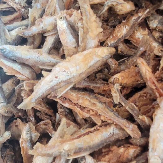 江华县刁子鱼干 油炸蓝刀，干度好，脆度佳