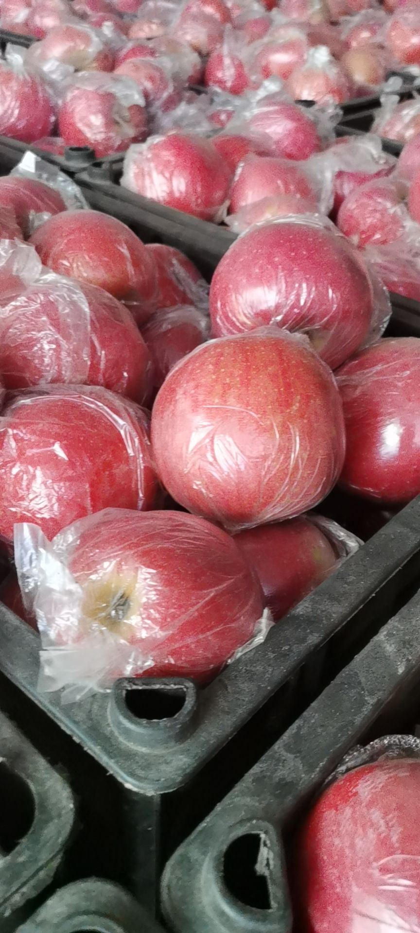 红富士苹果  红富士纸加膜