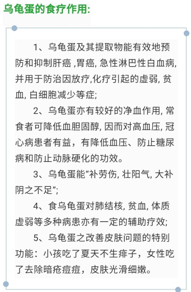 乌龟蛋  新鲜龟蛋……