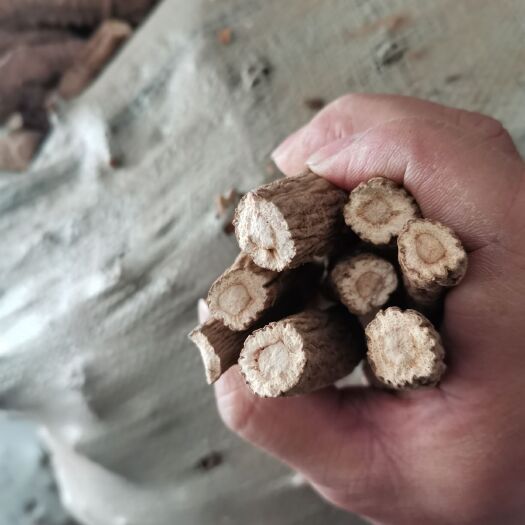 涡阳县无硫白芷，炕货10吨
