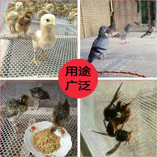 安平县漏粪板  全新纯料塑料养殖网鸡鸭鹅漏粪网脚垫网育雏围栏网塑料