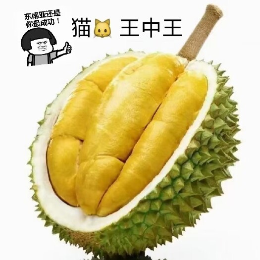广州【一颗代发】马来西亚猫山王榴莲D197液氮水果电商精品